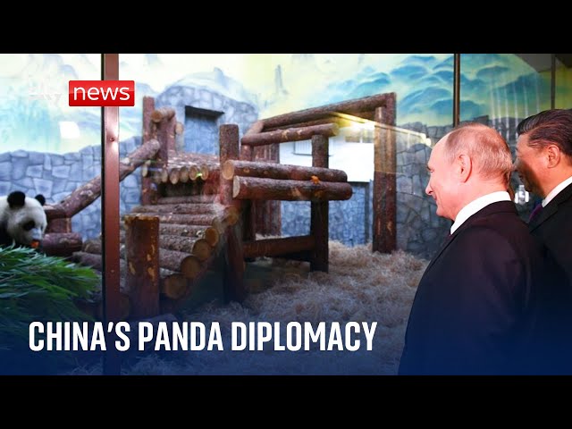 What China's pandas tell us about the country's international relations