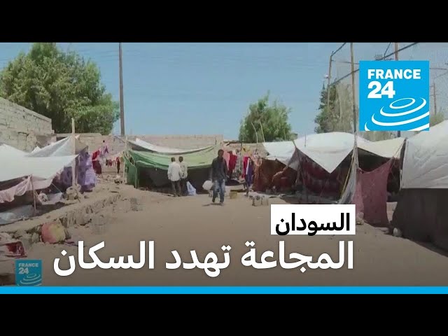 "أكثر من ستة ملايين شخص على بعد خطوة واحدة من المجاعة" في السودان