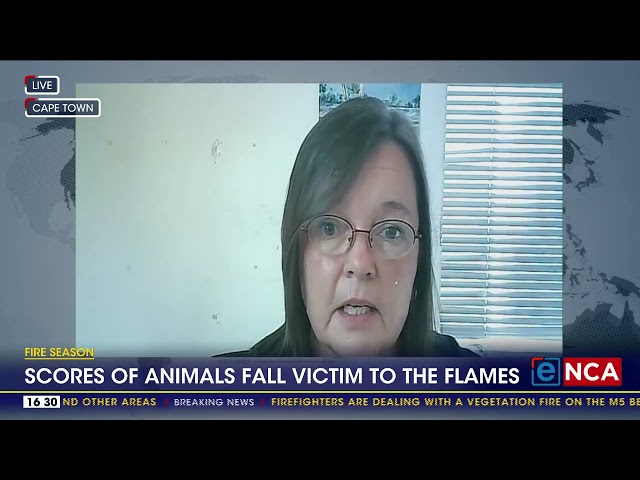 Score of animals fall victim to the flames