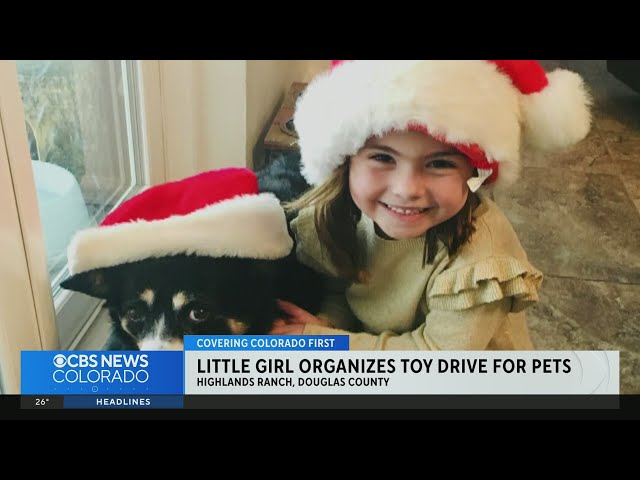 9-year-old's pet drive receives big community support