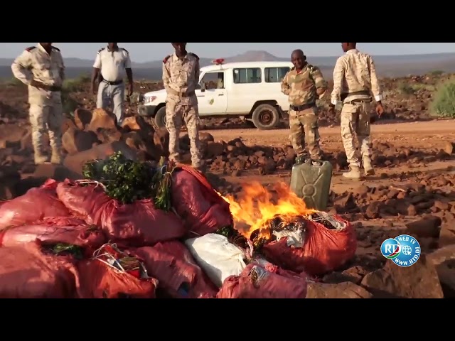 Saisie Importante de Khat de Contrebande par les Douanes et l'Armée à Holl Holl.