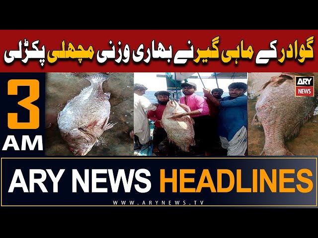 ARY News 3 AM Headlines 26th December 2023 | Gwadar fisherman catches rare croaker fish