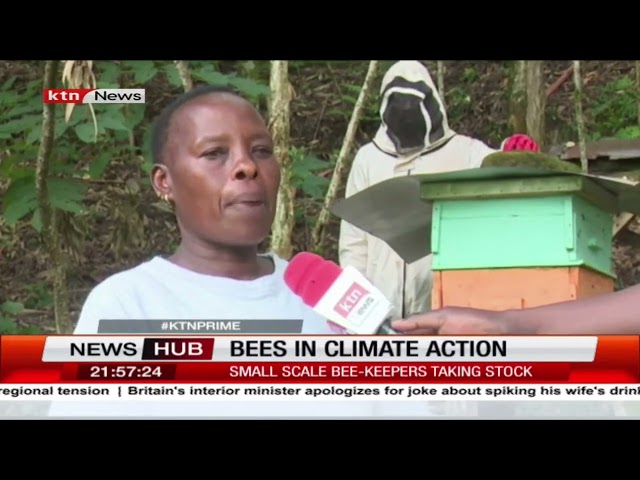 Impact of climate change on bee keeping