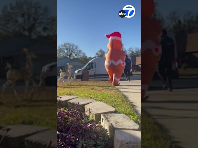 'Christmas decoration' comes alive to chase after Amazon driver