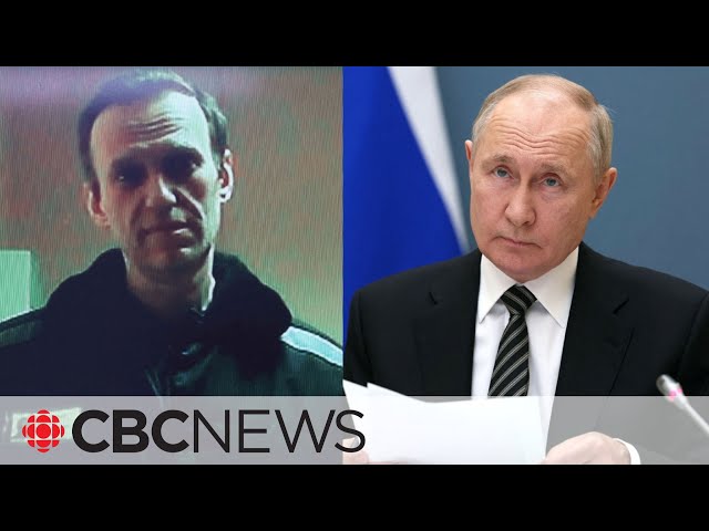 Putin critic Alexei Navalny located in penal colony north of Arctic Circle