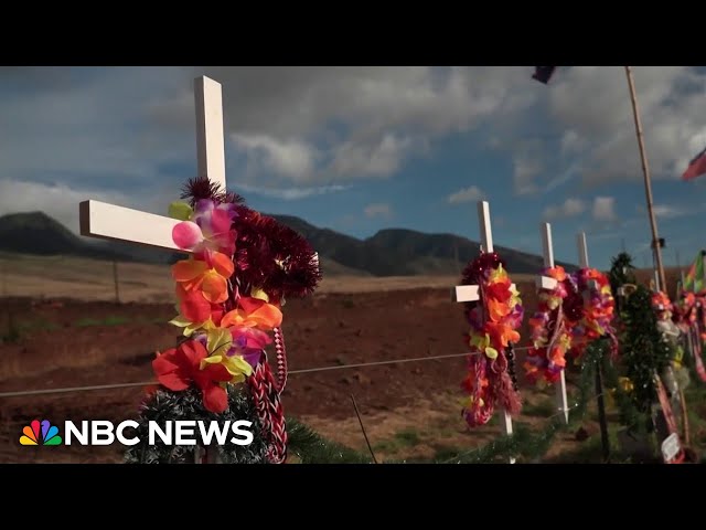 Lahaina residents’ desperate need for housing months after wildfire devastation