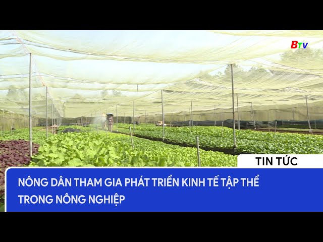 Nông dân tham gia phát triển kinh tế tập thể trong nông nghiệp