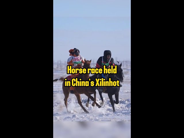 Horse race held in China's Xilinhot