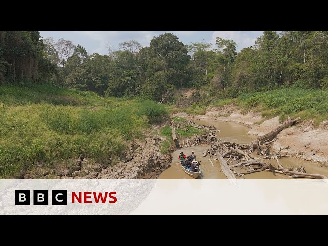 Is unprecedented drought pushing the Amazon to the brink? | BBC News