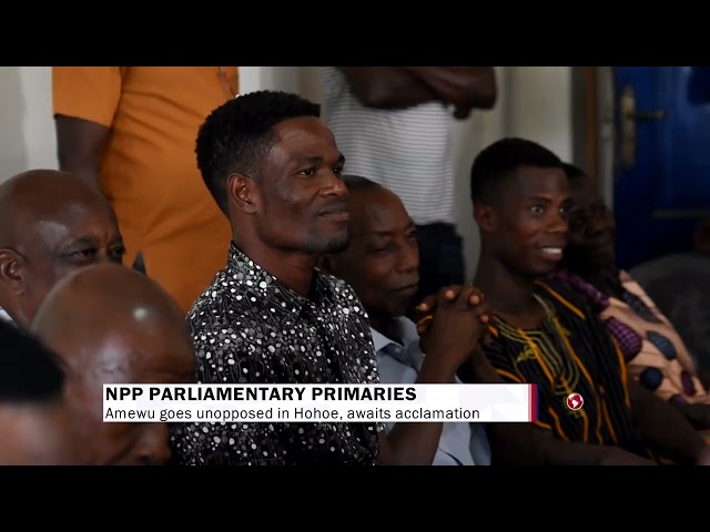 NPP Parliamentary primaries: Amewu goes unopposed in Hohoe, awaits acclamation