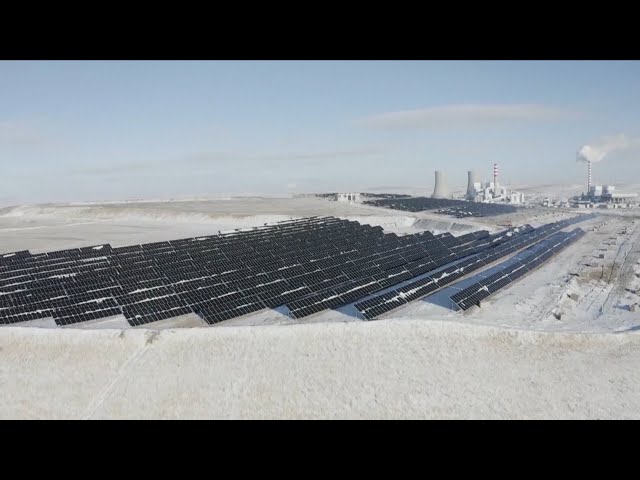 Solar panel field helps revegetate China's largest open mining wasteland