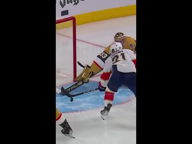 One Of The Greatest Goalie Saves In Stanley Cup Final History 