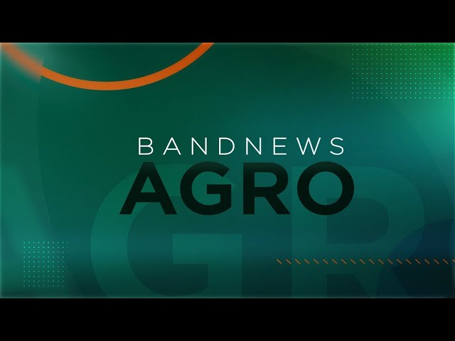 Preço do arroz aumentou 16% somente no ano de 2023 | BandNewsw TV