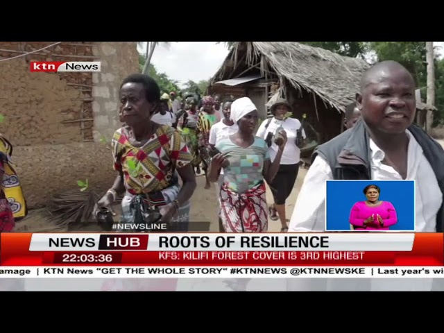 Sita Moja self-help group based in Dabaso replants 78,000 mangrove trees in Kilifi