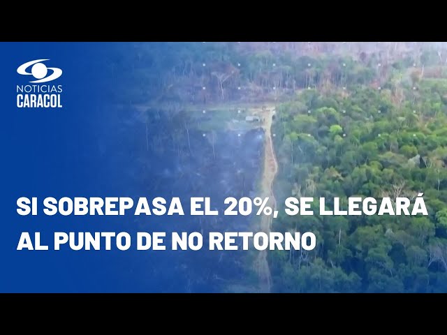 Así se ve la tragedia ambiental originada por la deforestación en el Amazonas