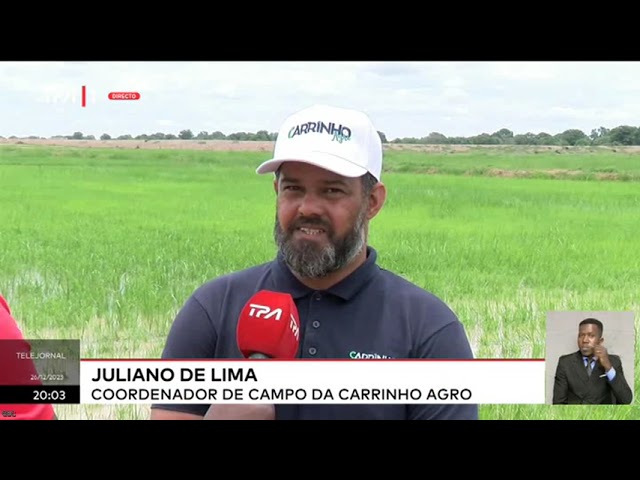 Produção de arroz no Cunene - Projecto agro-industrial de Manquete sob responsabilidade das FAA