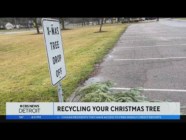 Where to recycle your Christmas tree in Metro Detroit