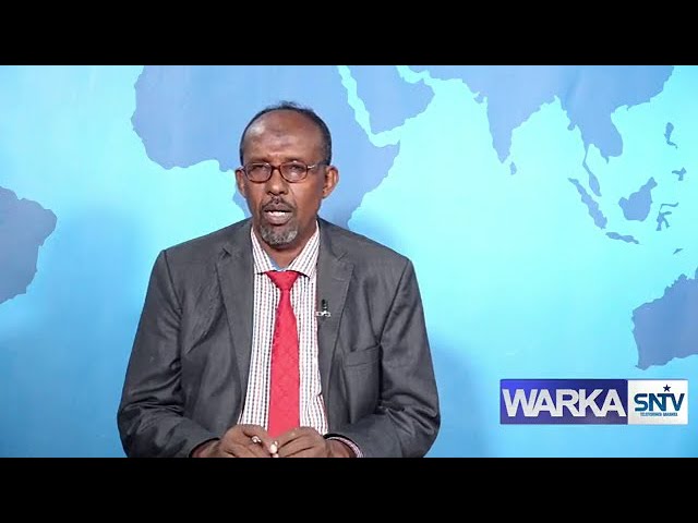 WARKA HABEEN EE SNTV 26.12.2023