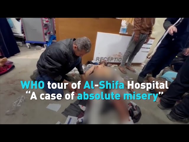 Gaza’s Al-Shifa hospital “a case of absolute misery”