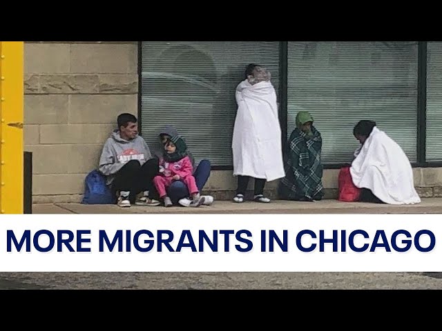 More migrants dumped in Chicago suburbs