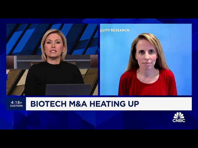 Wedbush's Laura Chico talks biotech investing in 2024