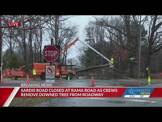 Downed tree closes Sardis Road