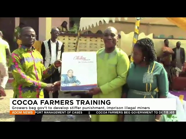 Cocoa Farmers: Growers beg gov’t to develop stiffer punishment, imprison illegal miners (26-12-23)