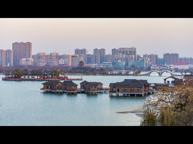 Live: A natural gem, Dongchang Lake in Shandong's Liaocheng City