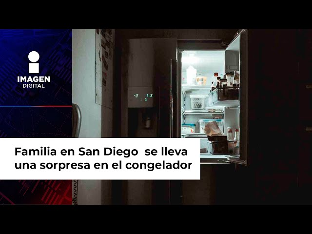 Visitan a su familia por Navidad en San Diego y encuentran un cadáver en el congelador