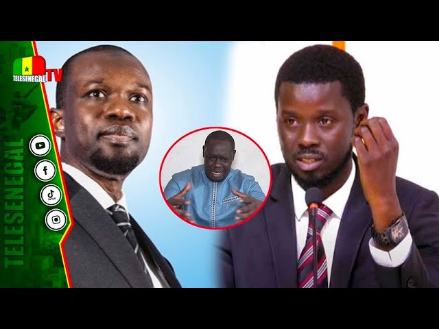 "Validation des candidatures de Sonko et Diomaye Faye...", l'avis tranché de Dr Abdou