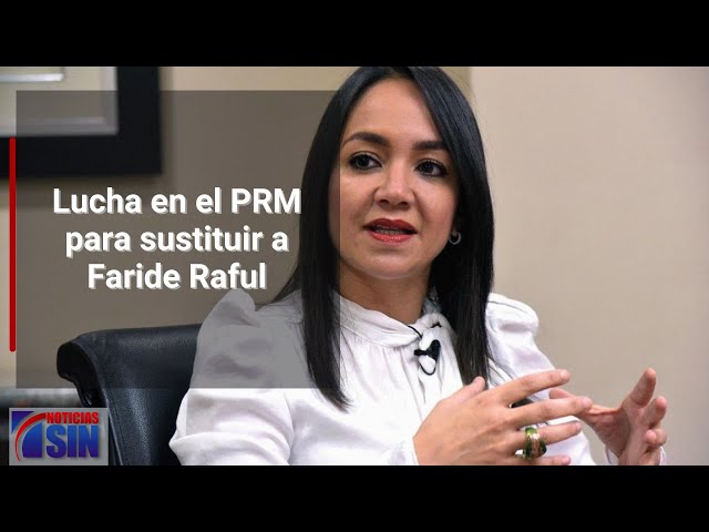 Lucha en el PRM para sustituir a Faride Raful