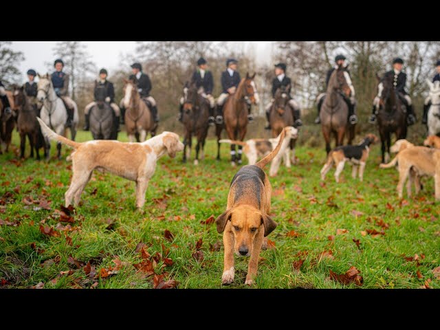 Pressure builds in the United Kingdom over trail hunting