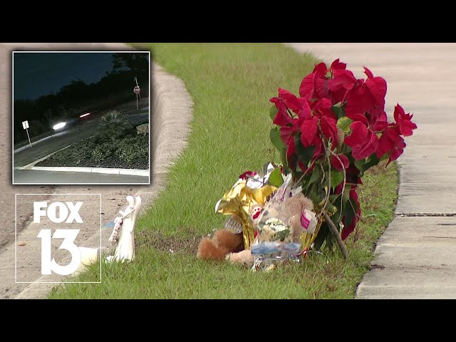 Florida mother mourns 17-year-old son killed by hit-and-run driver