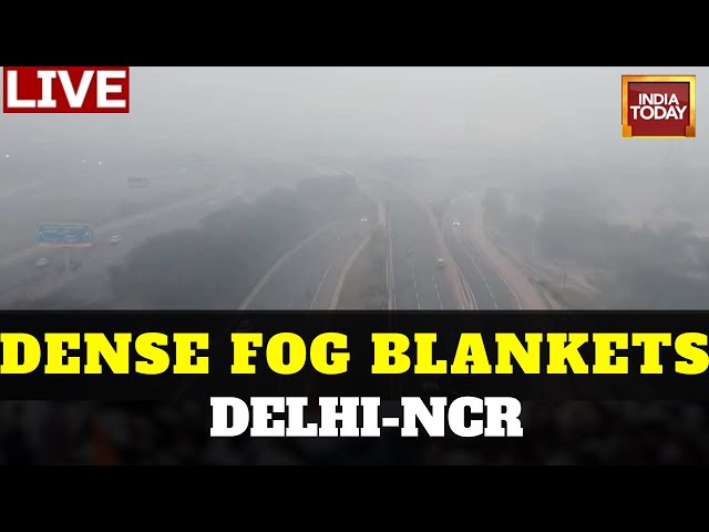 Delhi Fog News LIVE: Dense Fog Blankets Delhi As Cold Wave Continues, Visibility Almost Zero