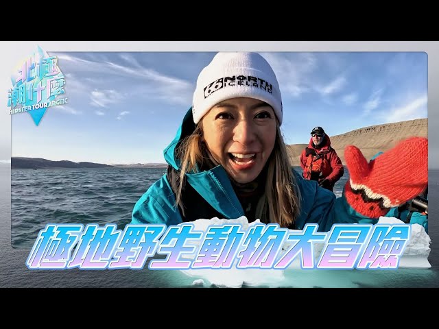 ⁣北極潮什麼 ｜極地野生動物大冒險｜梁芷珮｜北極｜加拿大｜旅遊