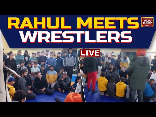 Rahul Gandhi LIVE: Rahul Gandhi Meets Wrestlers In Haryana Amid Row Over WFI Suspension, Protest