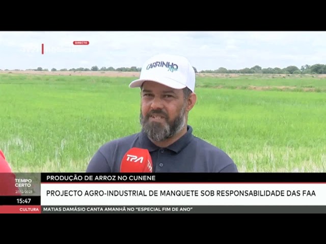 Produção de arroz no Cunene - Projecto agro industrial de Manquete sob responsabilidade das FAA