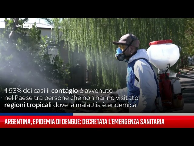 ⁣Argentina, epidemia Dengue: decretata l'emergenza sanitaria