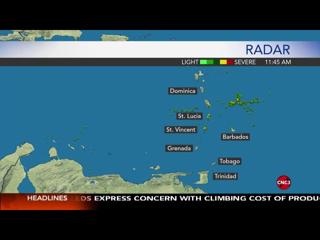 The Midday News ... Live with CNC3!