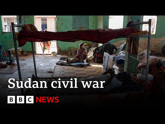 Eight months of civil war in Sudan | BBC News