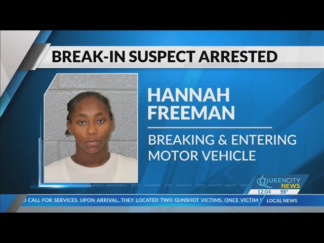 Woman facing 240+ charges in CLT vehicle crime spree