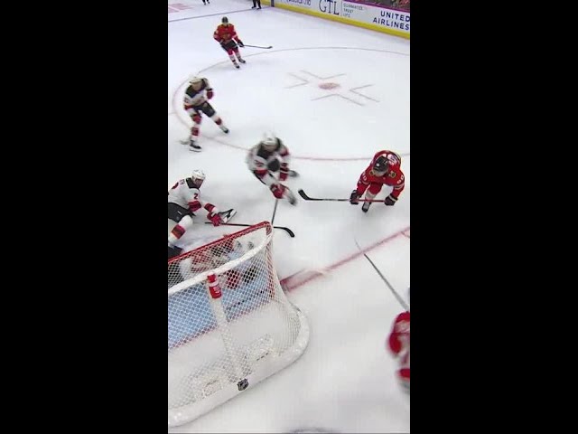 Dominik Hasek Style Desperation Save 