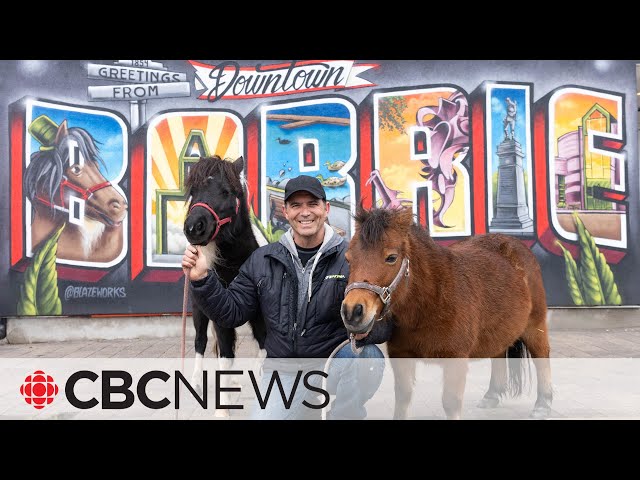 Meet the 2 miniature horses bringing joy to the streets of an Ontario town