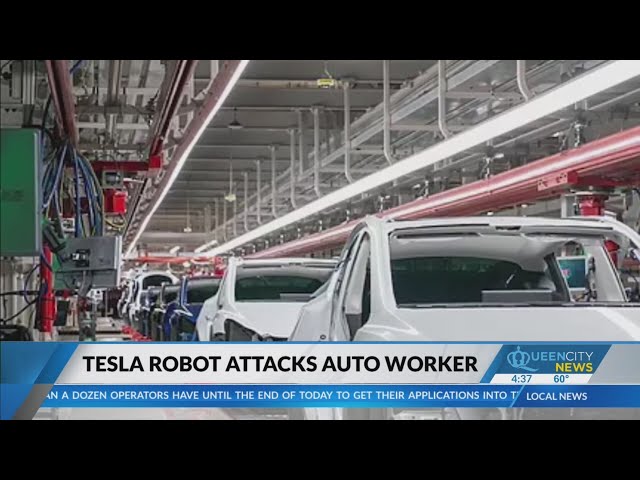 Tesla robot attacks auto worker