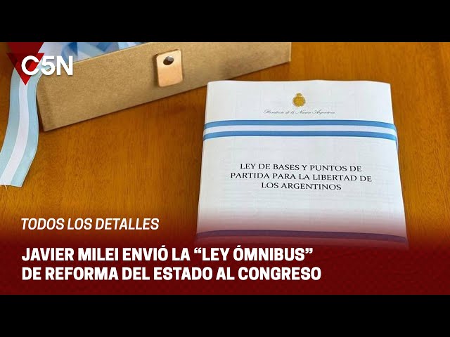 "LEY ÓMNIBUS": se declara la EMERGENCIA PÚBLICA y se DELEGAN FACULTADES LEGISLATIVAS al EJ