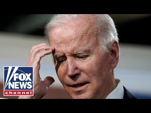 'The Five': Would Biden lose if the election was held today?