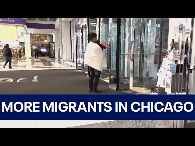 More migrants arrive in Chicago from the suburbs