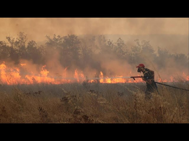 2023 set to be hottest year on record, meteorologists say