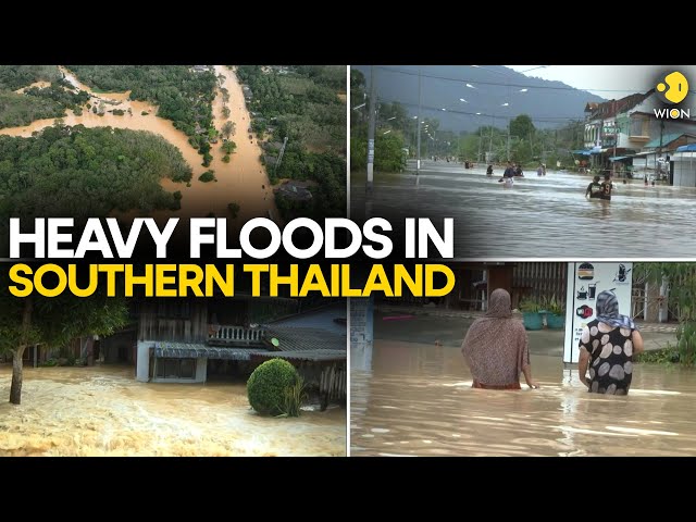 Thailand Flood: Tens of thousands hit by southern Thailand flooding I WION Originals