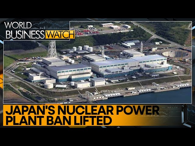 Japan's largest nuclear power plant cleared for operations | Latest News | WION